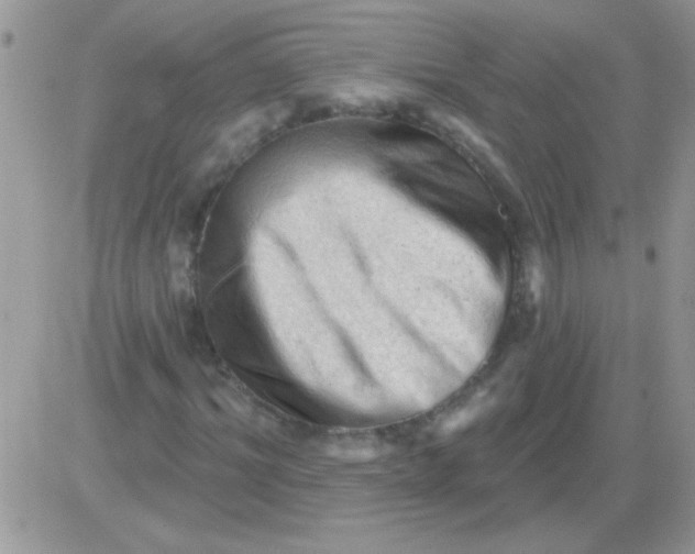 X0000081360964200701251945