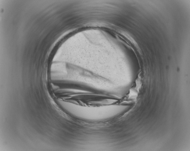 X0000081360984200701251944