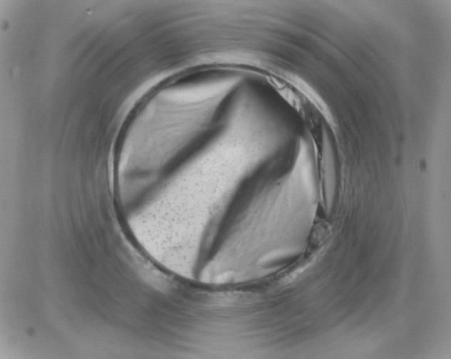 X0000081360988200701251944