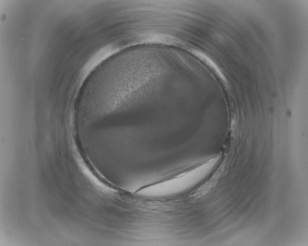 X0000081360991200701251944