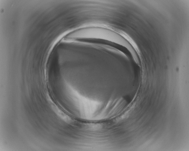 X0000081360996200701251944