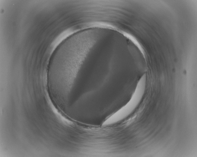 X0000081360999200701251944
