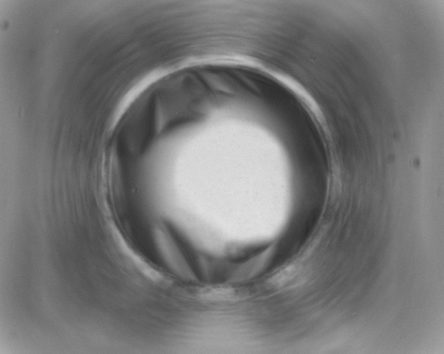 X0000081361006200701251944