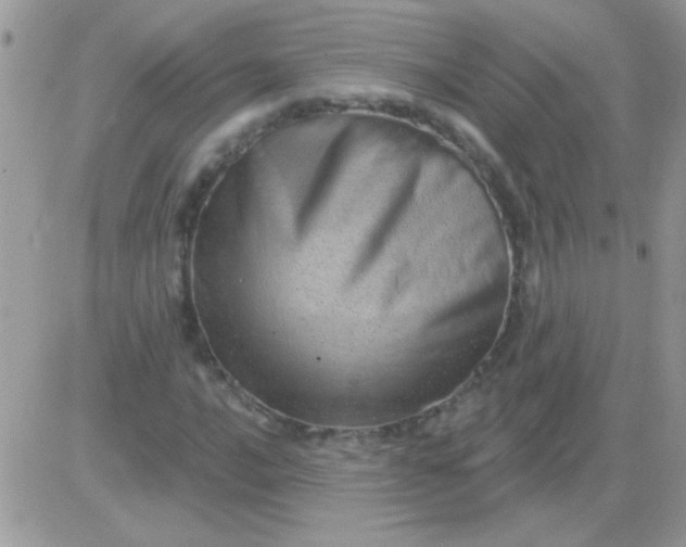 X0000081361016200701251943