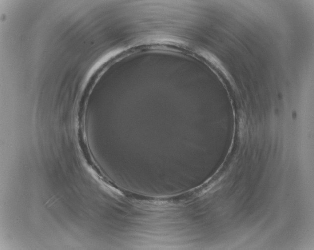 X0000081361024200701251944