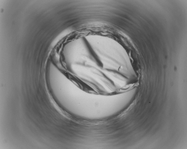 X0000081361034200701251944