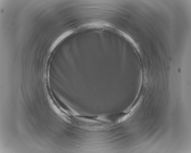 X0000081361042200701251944