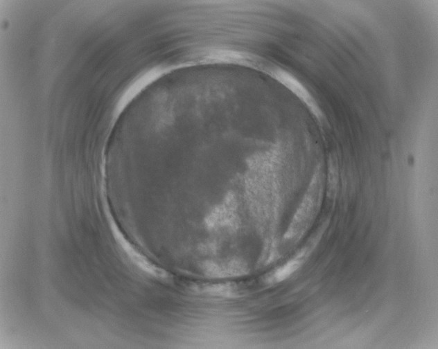 X0000081361047200701251944