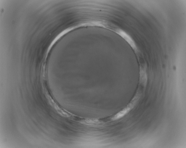 X0000081361052200701251944