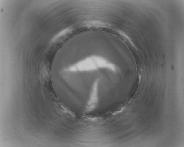 X0000081361063200701251943
