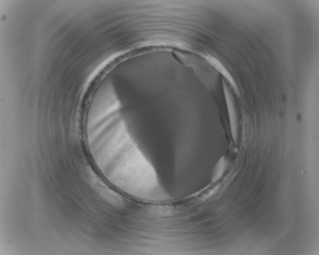 X0000081361068200701251943