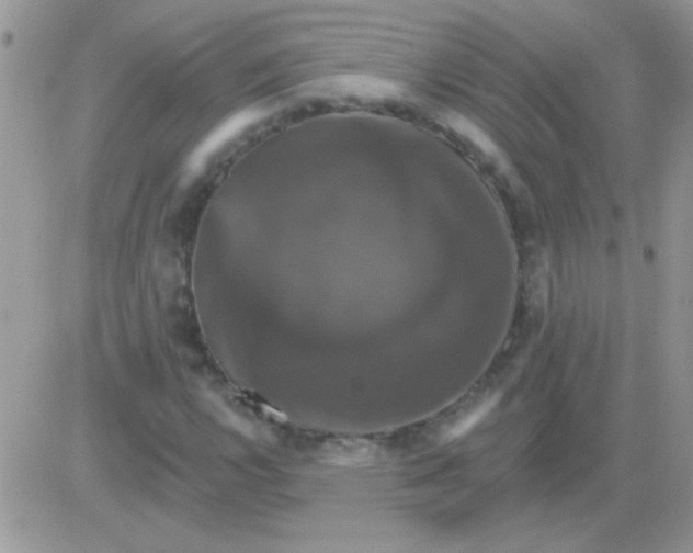 X0000081361112200701251942