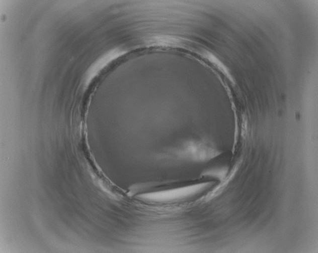 X0000081361117200701251942