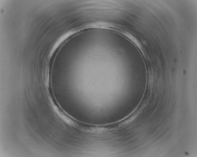 X0000081361131200701251942