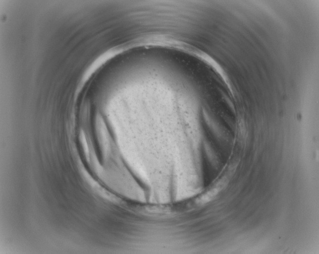 X0000081361147200701251942
