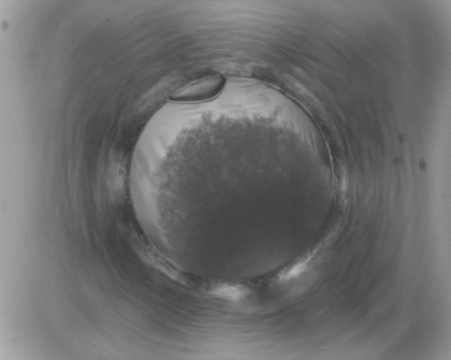 X0000081361154200701251942