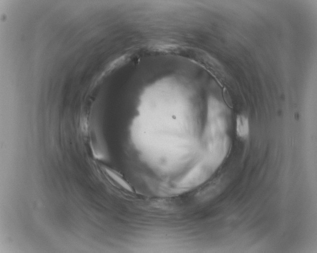 X0000081361155200701251942