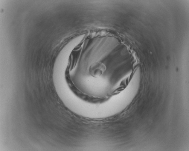 X0000081361157200701251942