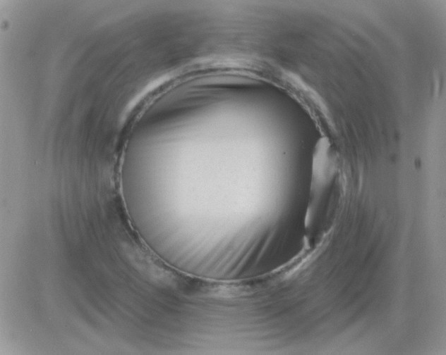 X0000081361166200701251942