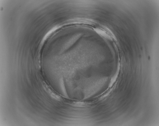 X0000081361172200701251941