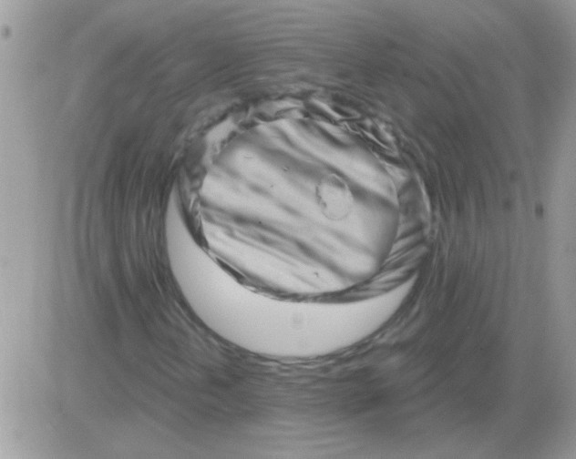 X0000081361202200701251940