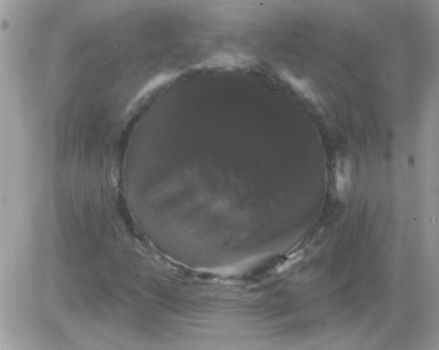 X0000081361206200701251940