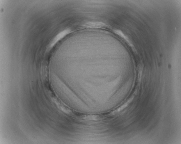 X0000081361211200701251940