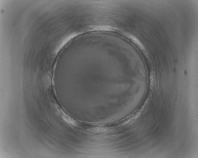 X0000081361212200701251940