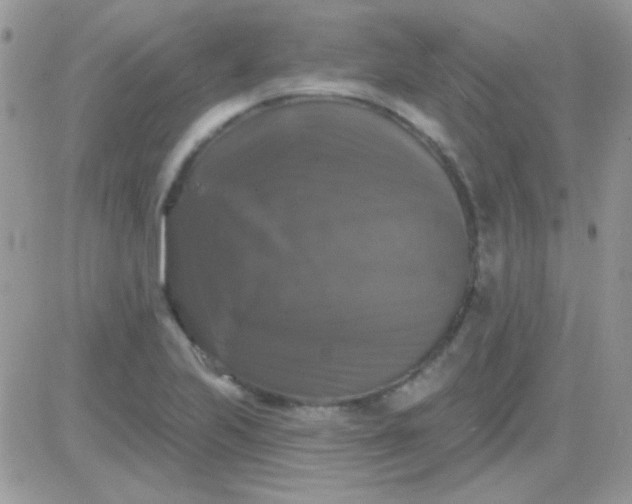 X0000081361223200701251941