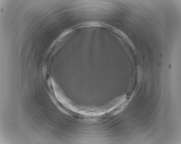 X0000081361225200701251941