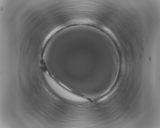 X0000081361226200701251941