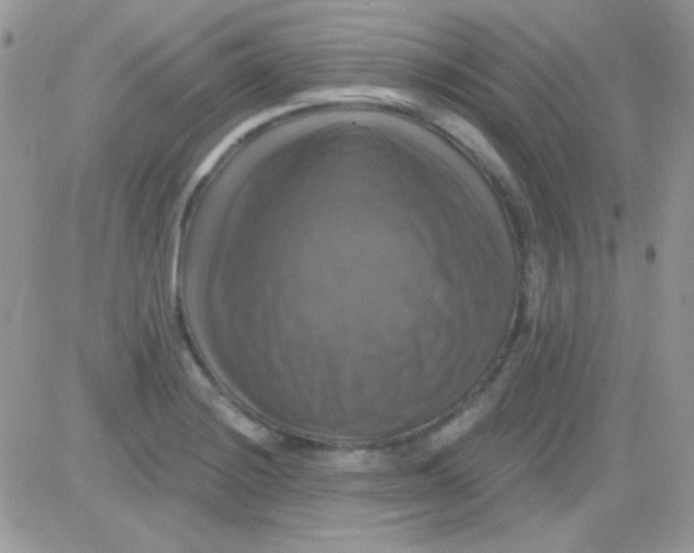 X0000081361228200701251941