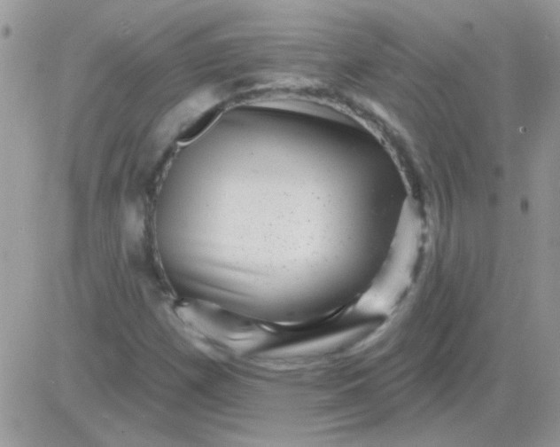 X0000081361257200701251940