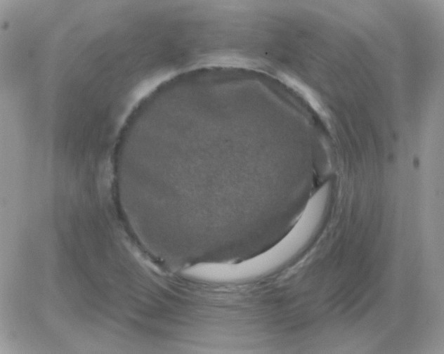 X0000081361264200701251940
