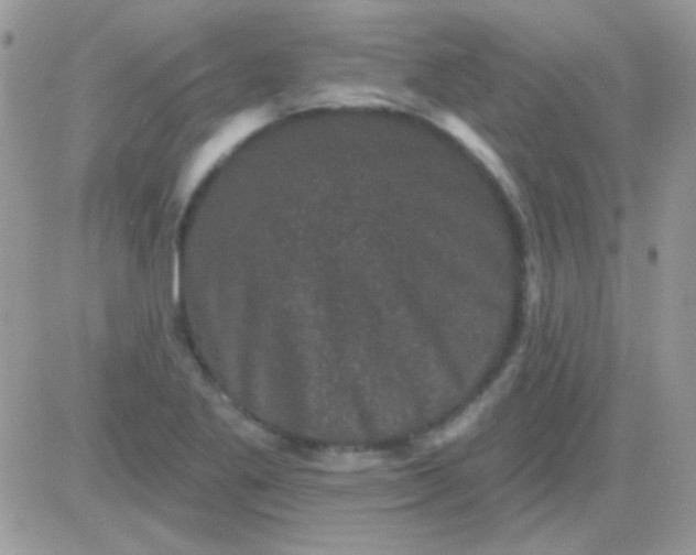 X0000081361269200701251940