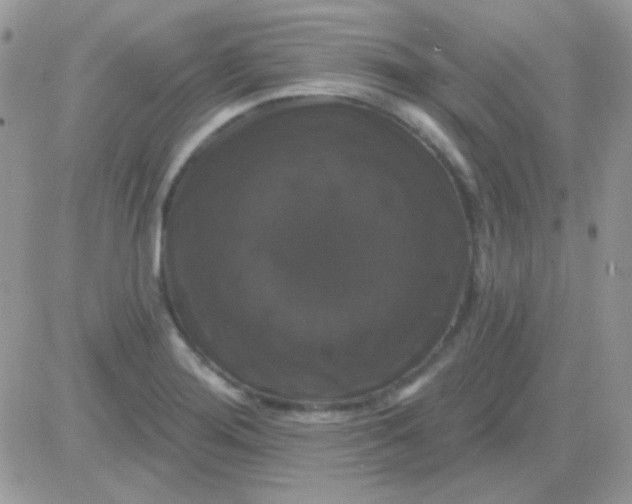 X0000081361276200701251940