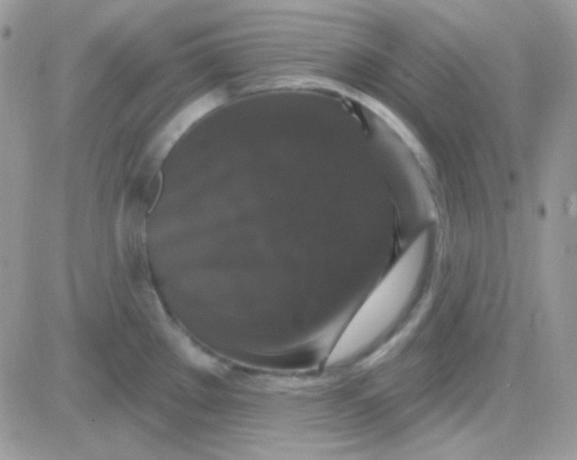 X0000081361289200701251940
