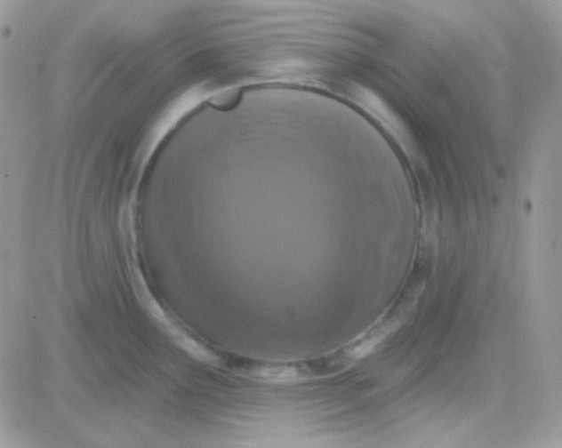 X0000081361291200701251940