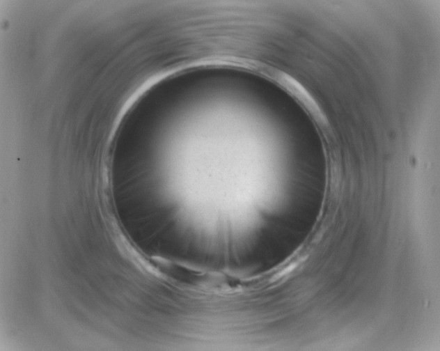 X0000081361292200701251940