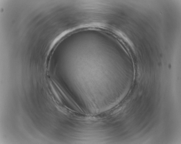 X0000081361316200701251939