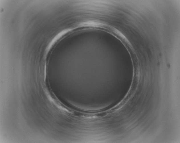 X0000081361323200701251939