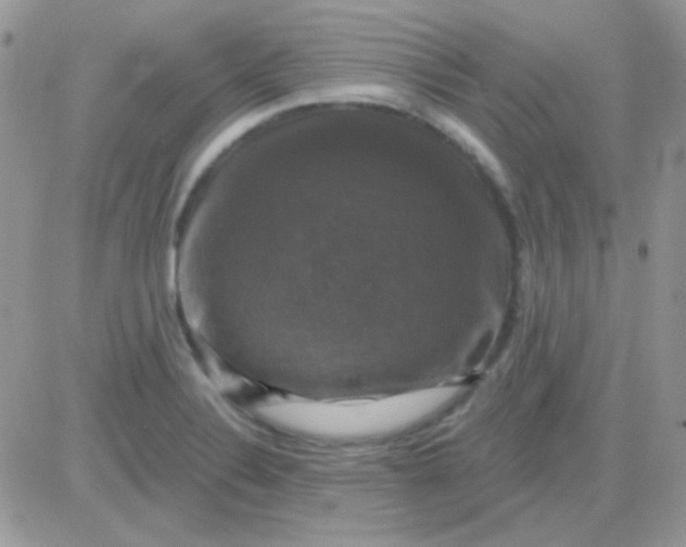 X0000081361324200701251939