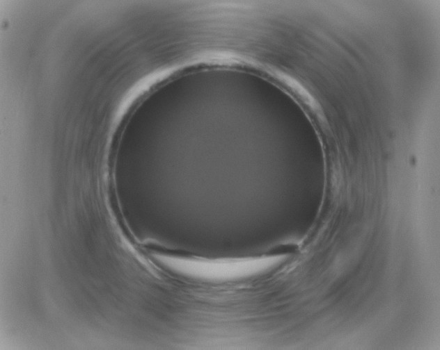 X0000081361327200701251939