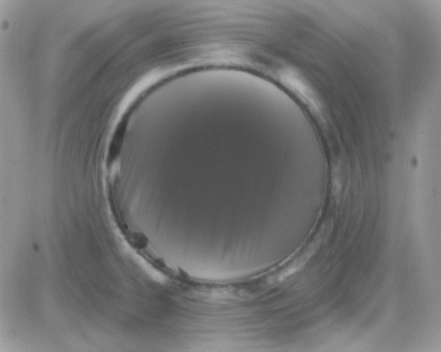 X0000081361334200701251939