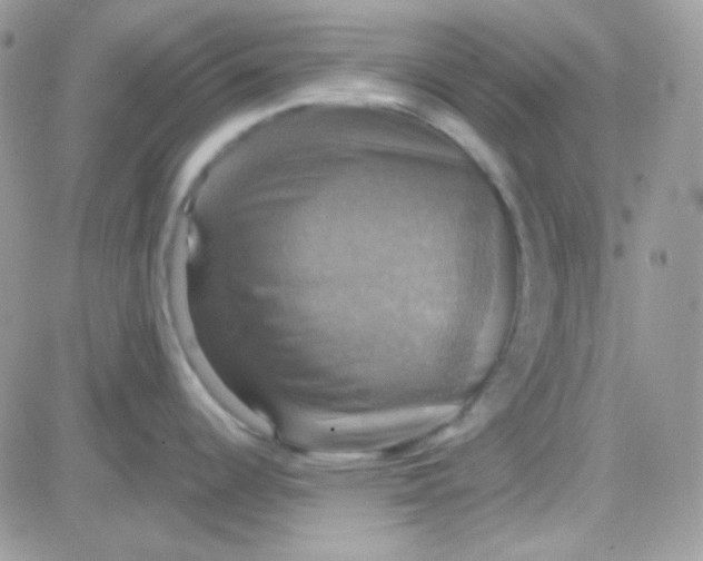 X0000081361344200701251939