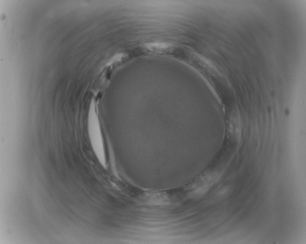 X0000081361346200701251939