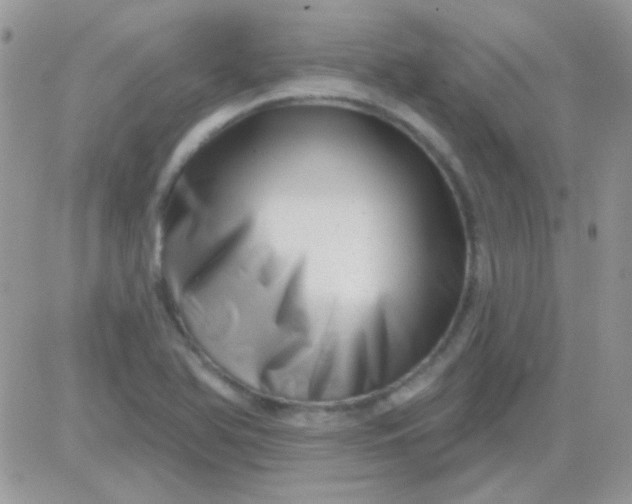 X0000081361366200701251938