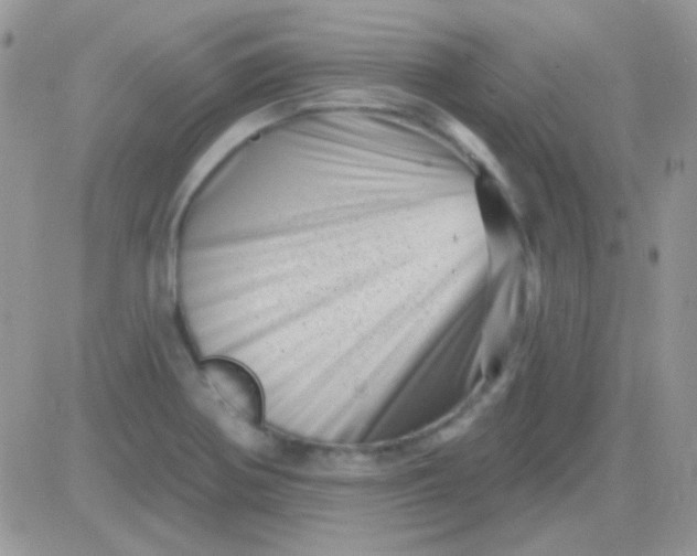 X0000081361370200701251938