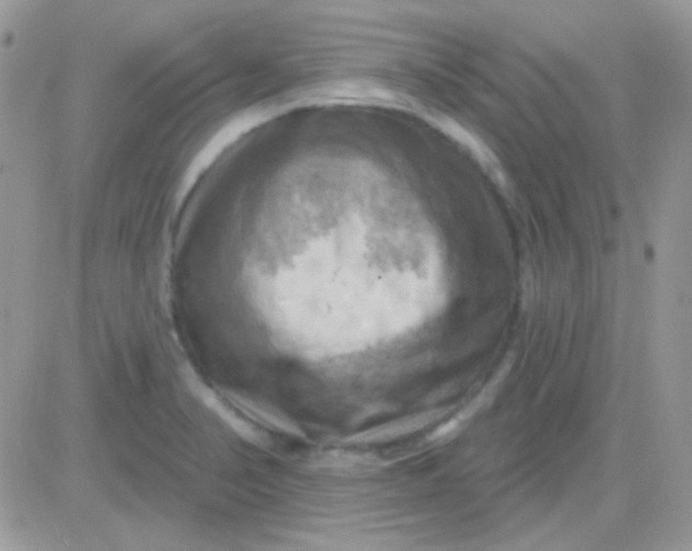 X0000081361374200701251938