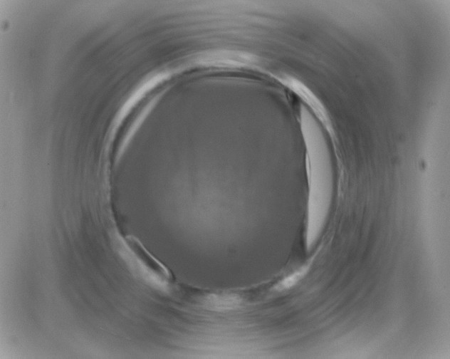 X0000081361384200701251938